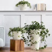 Osłonka-Doniczka Magnolia Eco Wood Jumper aranżacja 2