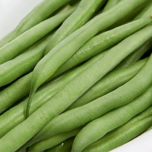 Fasola Karłowa 'Domino' – Odporna Na Choroby – Nasiona – Kiepenkerl