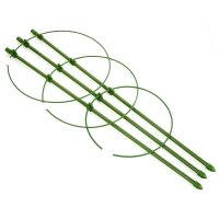 Podpora pierścieniowa do roślin 70 cm 2