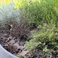 Mączka Bazaltowa 2x14 kg foto 6