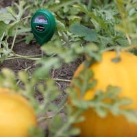 Miernik pH-Metr Glebowy 6