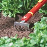 Grabki Mini LJ-M – 8 cm – Multi-Star Wolf Garten foto