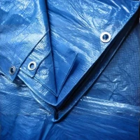 Plandeka ochronna niebieska 53 g-m2 foto