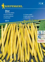 Fasola Zwykła 'Dior' – Nasiona – Kiepenkerl przód