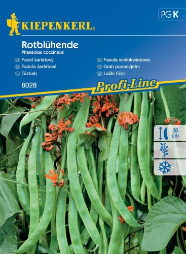 Fasola Wielokwiatowa 'Rotblühende' – Nasiona – Kiepenkerl przód