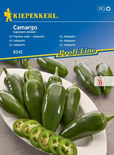 Papryka Jalapeño 'Camargo' – Nasiona – Kiepenkerl przód