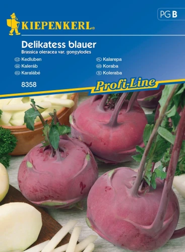 Kalarepa 'Delikateß Blauer' – Nasiona – Kiepenkerl przód