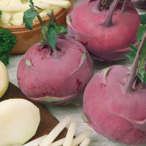 Kalarepa 'Delikateß Blauer' – Nasiona – Kiepenkerl