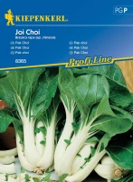 Kapusta Pak Choi 'Joi Choi' F1 – Nasiona – Kiepenkerl przód