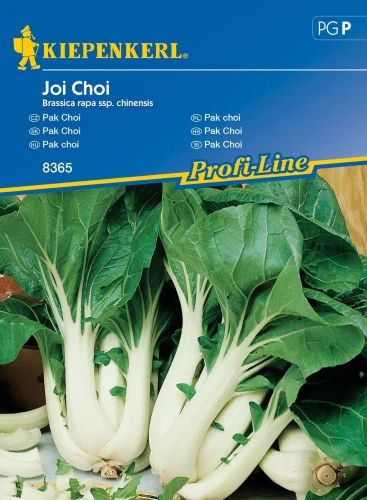 Kapusta Pak Choi 'Joi Choi' F1 – Nasiona – Kiepenkerl przód