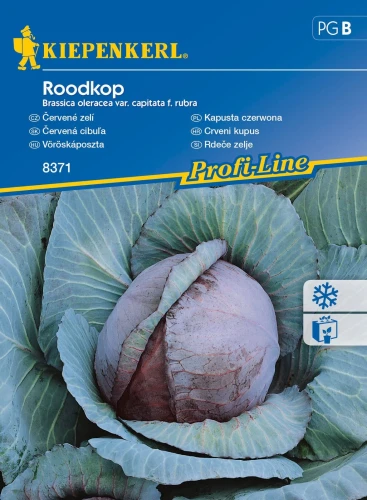 Kapusta Czerwona 'Roodkop' – Nasiona – Kiepenkerl przód
