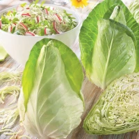 Kapusta Biała 'Caraflex' F1 – Nasiona – Kiepenkerl