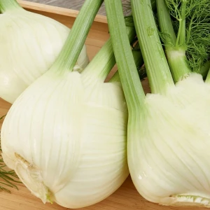 Koper Włoski 'Dragon' F1 – Fenkuł – Nasiona – Kiepenkerl