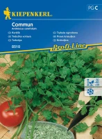 Trybula Ogrodowa 'Commun' – Nasiona – Kiepenkerl przód