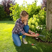 Małe Miotłograbie Wachlarzowe LD-2K – Wolf Garten foto 2