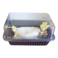 Boczniak cytrynowy – Zestaw do uprawy grzybów – 3 l Exotic Grow 5