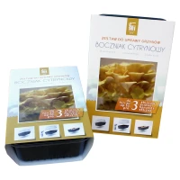 Boczniak cytrynowy – Zestaw do uprawy grzybów – 3 l Exotic Grow 3