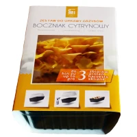 Boczniak cytrynowy – Zestaw do uprawy grzybów – 3 l Exotic Grow 2