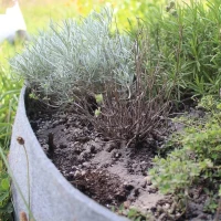 Mączka Bazaltowa 14 kg foto 6