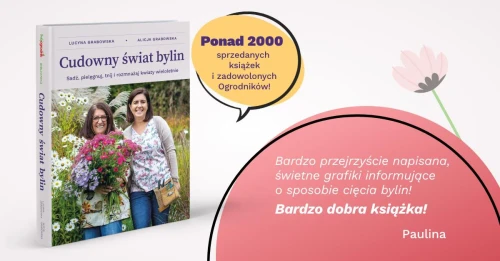 Książka Cudowny Świat Bylin – Lucyna i Alicja Grabowska opinie 6