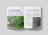 Książka Cudowny Świat Bylin – Lucyna i Alicja Grabowska wnętrze 2