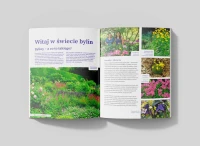 Książka Cudowny Świat Bylin – Lucyna i Alicja Grabowska wnętrze 1