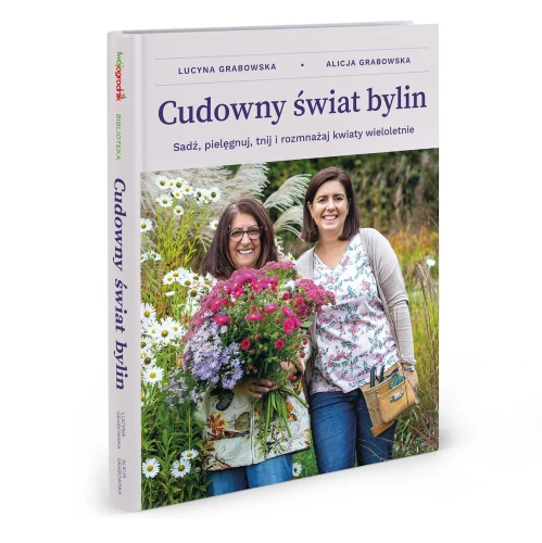 Książka Cudowny Świat Bylin – Lucyna i Alicja Grabowska