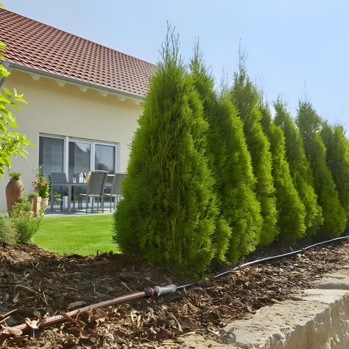 Linia kroplująca do rzędów roślin 50 m – zestaw L – Gardena foto 2