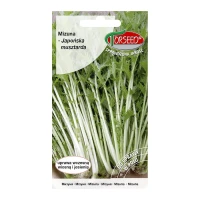Mizuna – japońska musztarda zielona – 2 g Torseed