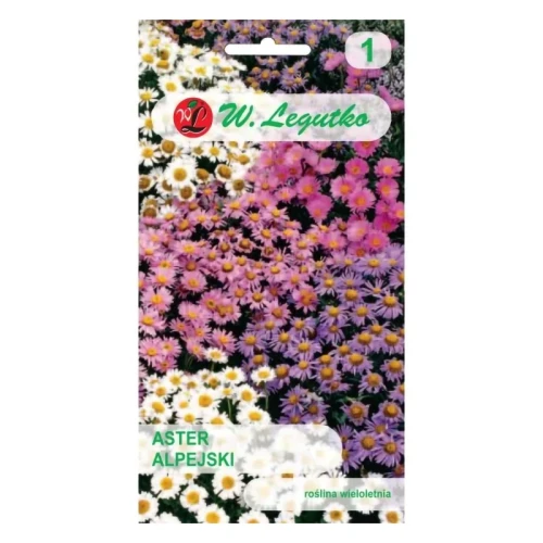 Aster alpejski – mix – 0,3 g Legutko