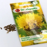 Chaber wielkogłówkowy – żółty – 1 g Legutko foto