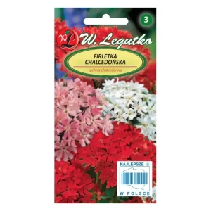 Firletka chalcedońska – mix kolorów, wysoka bylina na słoneczne rabaty – Nasiona Legutko