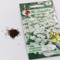 Gęsiówka alpejska – biała – 0,3 g Legutko foto