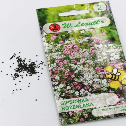 Gipsówka rozesłana – mix – 0,3 g Legutko foto