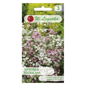 Gipsówka rozesłana – mix kolorów, niska roślina kobiercowa do skalniaków – Nasiona Legutko