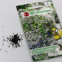 Gipsówka wiechowata – biała – 1 g Legutko foto