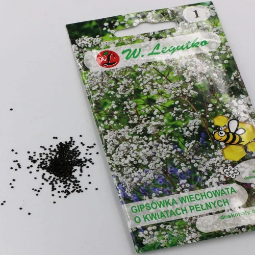 Gipsówka wiechowata – biała – 1 g Legutko foto