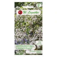 Gipsówka wiechowata – biała – 1 g Legutko