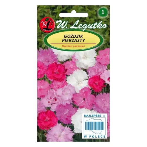 Goździk pierzasty – mix – 0,5 g Legutko