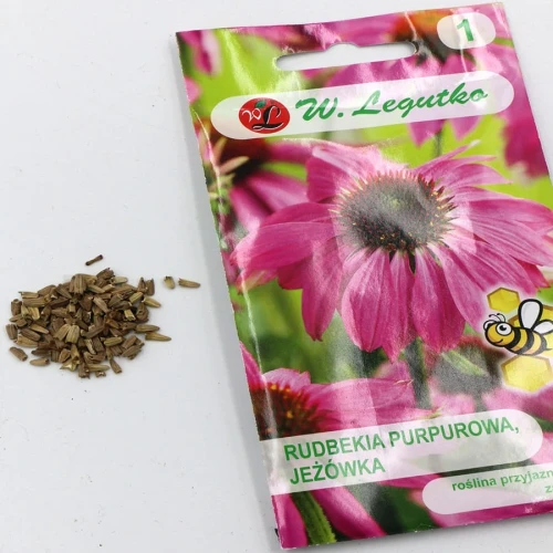 Rudbekia purpurowa (Jeżówka) – różowa – 1 g Legutko foto