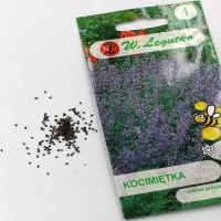 Kocimiętka – niebiesko-fioletowa – 0,2 g Legutko foto