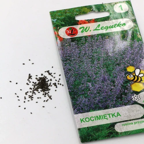 Kocimiętka – niebiesko-fioletowa – 0,2 g Legutko foto