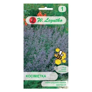 Kocimiętka – niebiesko-fioletowa, miododajna bylina do rabat i skalniaków – Nasiona Legutko