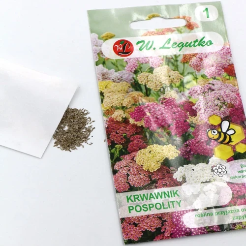 Krwawnik pospolity – mix – 0,3 g Legutko foto