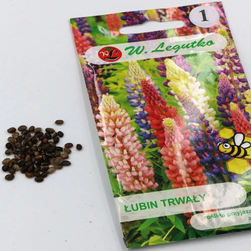 Łubin trwały Russel – mix – 2 g Legutko foto