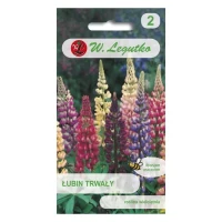 Łubin trwały Russel – mix – 2 g Legutko