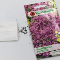 Macierzanka piaskowa – różowa – 0,1 g Legutko foto