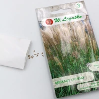 Miskant chiński – 0,05 g Legutko foto