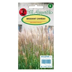 Miskant chiński – wysoka trawa ozdobna do ogrodu – Nasiona Legutko