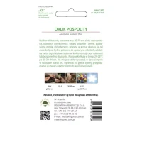 Orlik pospolity – mix – 0,3 g Legutko tył